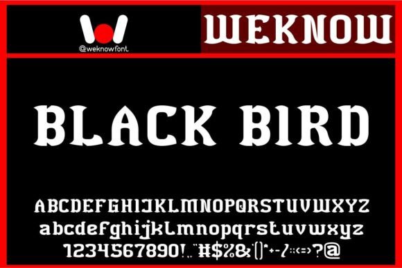 Black Bird: The Enigmatic Gothic Masterpiece for Modern Design